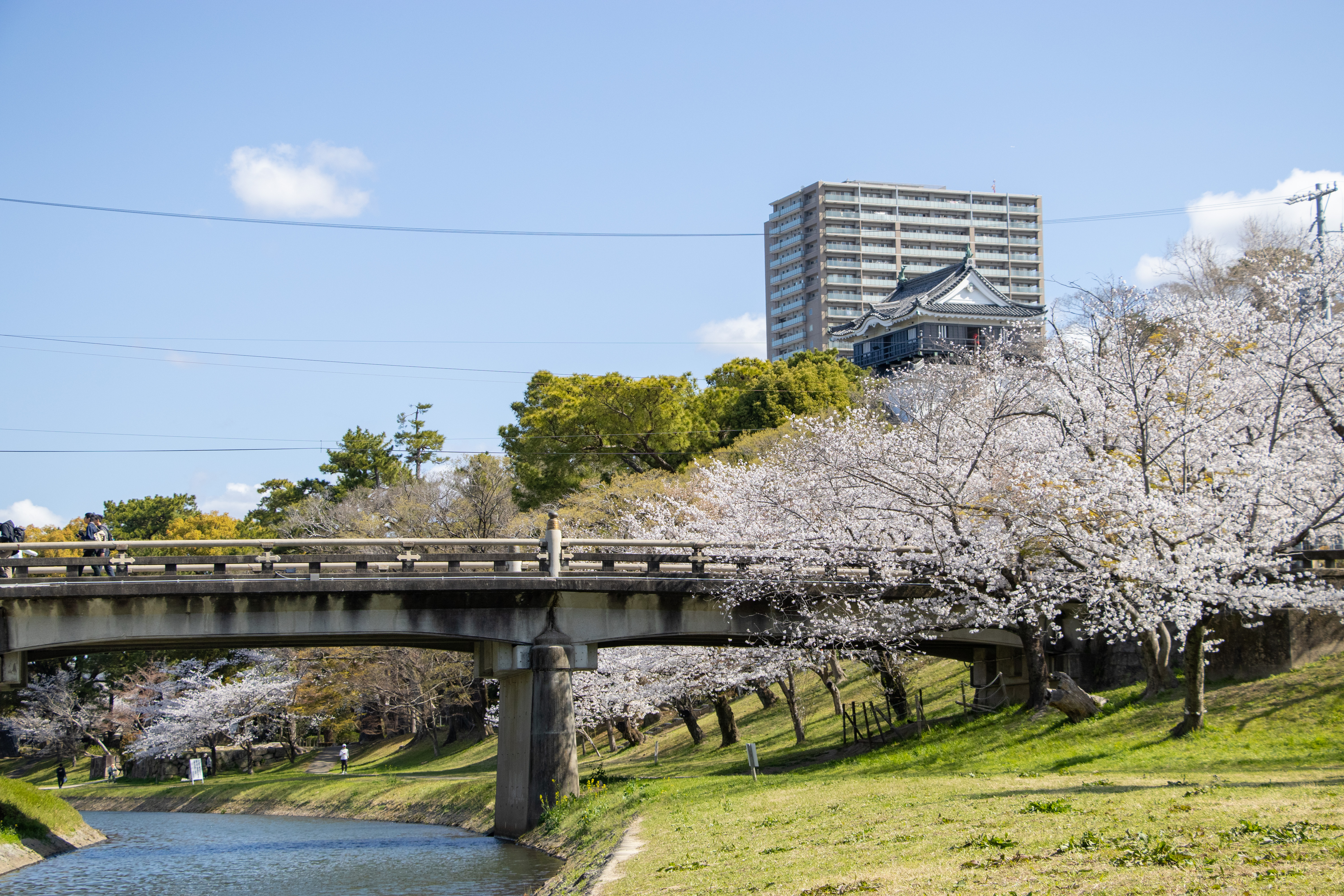 Nagoya Castle
